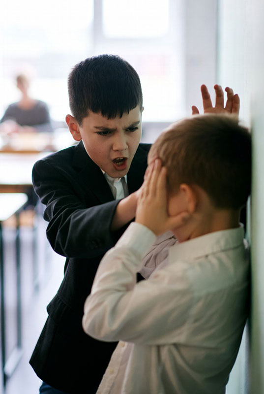 پسربچه ای دارد برای همکلاسی اش قلدری می کند