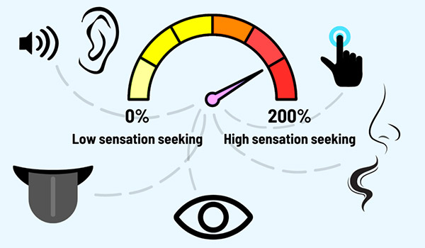 هیجان‌خواهی Sensation Seeking
